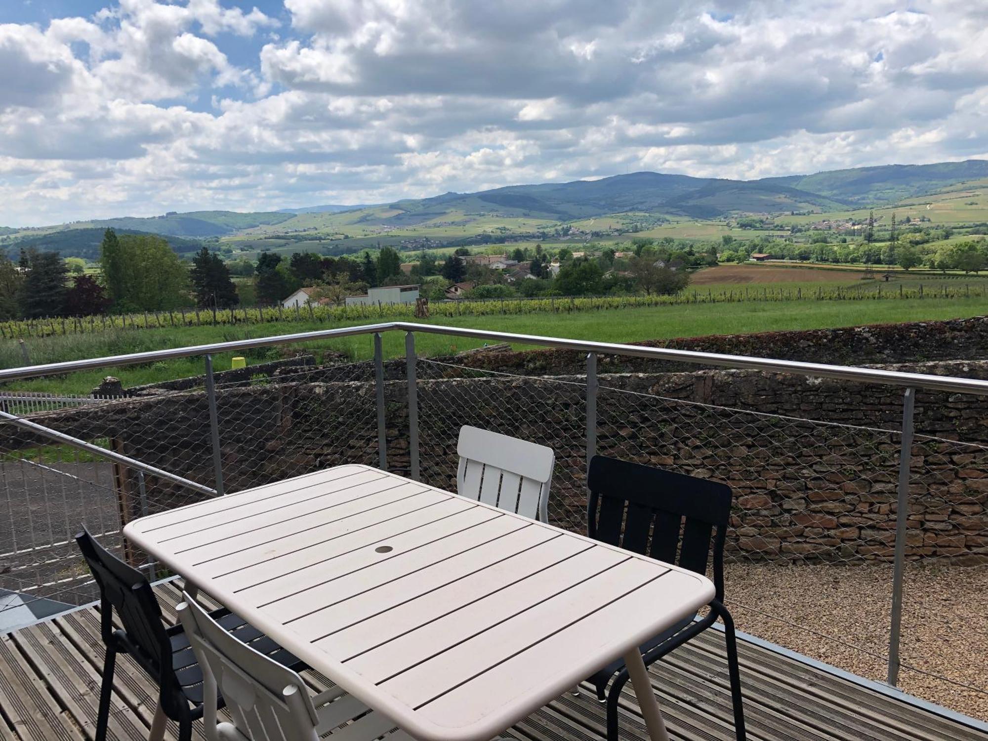 Appartement Contemporain Dans Une Authentique Demeure Viticole Charnay-lès-Mâcon Exteriör bild